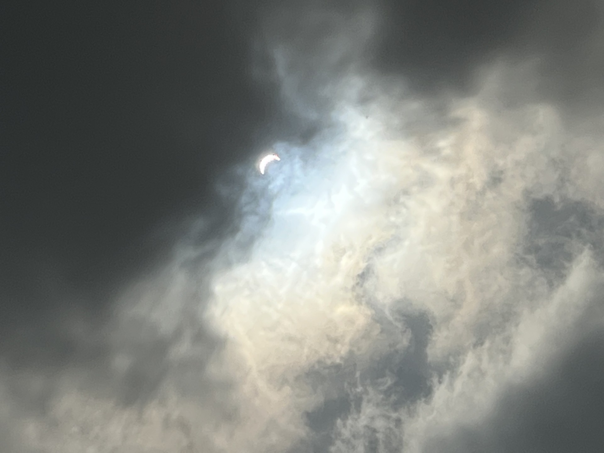 thumbnail_IMG_1457.jpeg