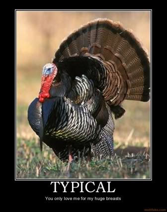 typical-humor-funny-thanksgiving-demotivational-poster-1259123353.JPG
