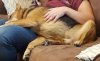 Jax - Sleepy.jpg Jax - Sleepy.jpg
