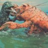 MonsterLobster