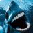 SnarkShark